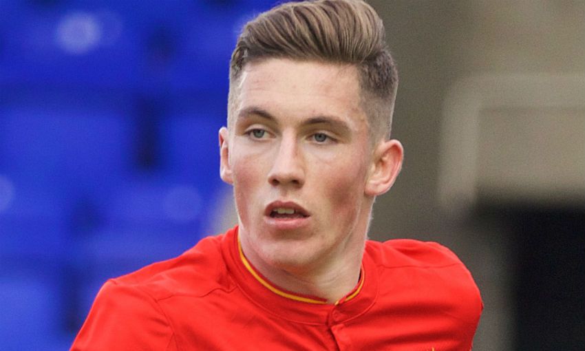 Harry Wilson called into Wales senior squad