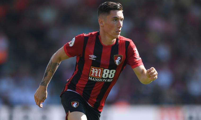 Image result for harry wilson afc bournemouth