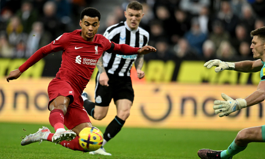 Liverpool's Cody Gakpo scores against Newcastle United